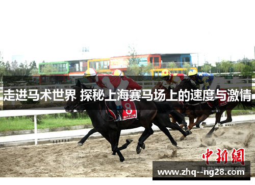 走进马术世界 探秘上海赛马场上的速度与激情