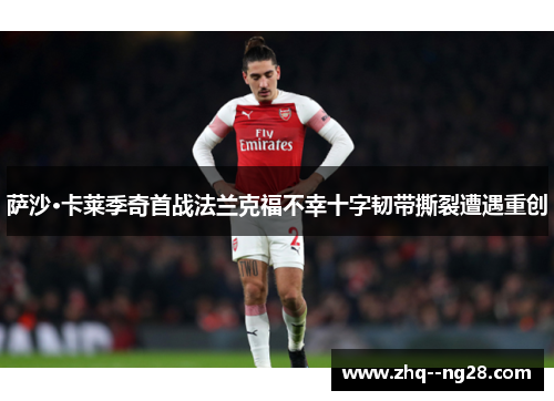 萨沙·卡莱季奇首战法兰克福不幸十字韧带撕裂遭遇重创 萨沙·卡莱季奇首战法兰克福不幸十字韧带撕裂遭遇重创